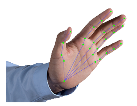 Gesture Control (Hands-Free Access)