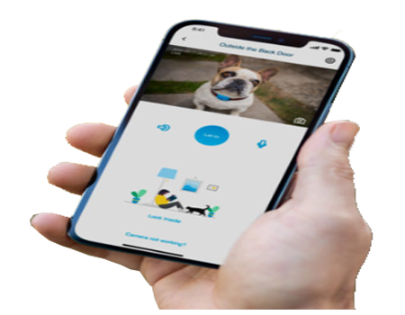 Pet Safety Monitoring